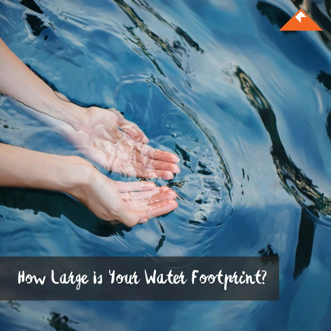 How Large Is Your Water Footprint?